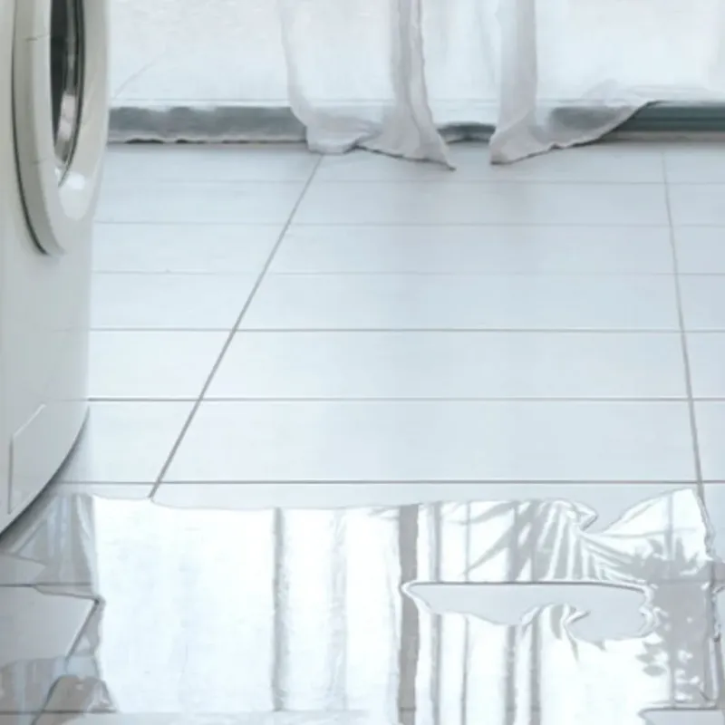 Appliance Leak Cleanup in Homerville, GA
