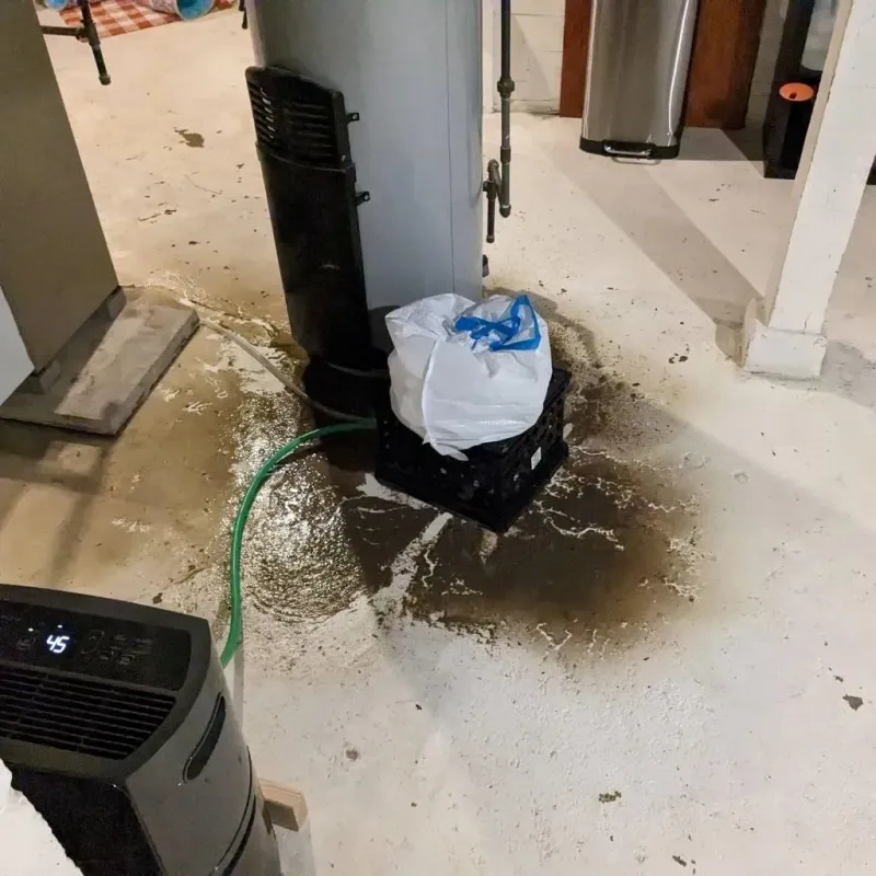 Sewage Backup Cleanup Service in Homerville, GA